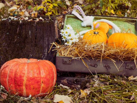 Приметы в мире неживой природы