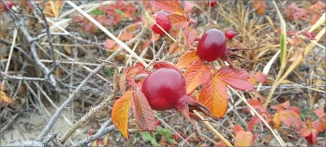 Приметы октября для детей