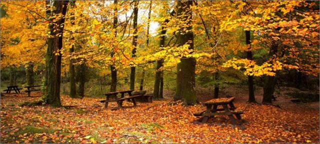 Приметы октября для детей