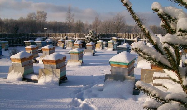 Приметы октября для детей