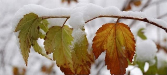 Приметы октября для детей