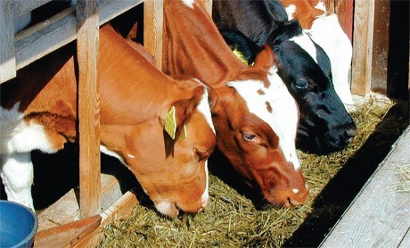 Приметы октября для детей