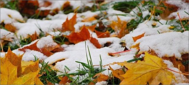 Приметы октября для детей