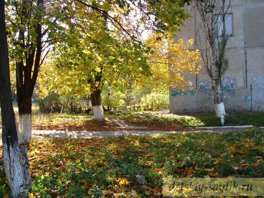 солнечная, зеленая ранняя осень