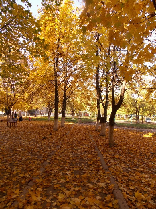 золотая осень фото