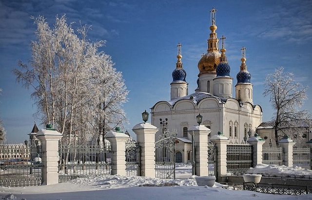 Приметы о погоде по поведению животных: как предсказать