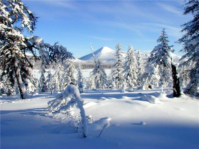 Зимняя стужа