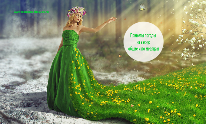 Приметы погоды на весну