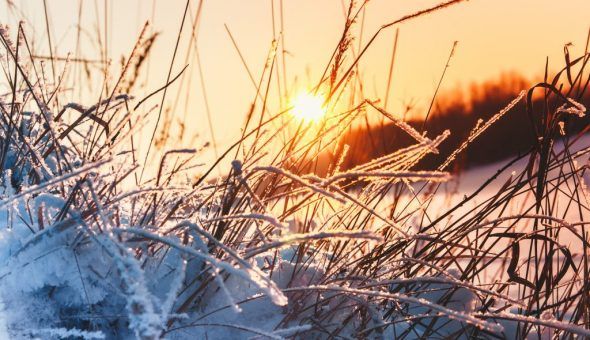 Актуальные приметы погоды на январь