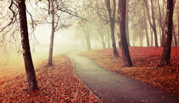 Погода ноября может быть очень разной