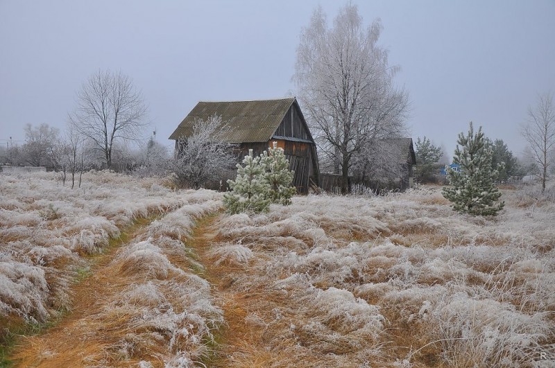 Приметы и поверья на 9 ноября 2020 года могут рассказать, какой будет погода в ближайшее время и зимой