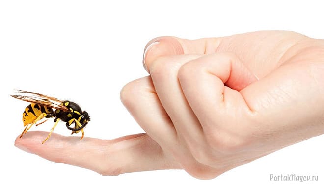 Укус пчёлки
