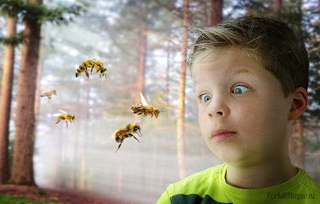 Нападение пчёл