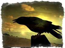 Приметы про ворон