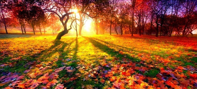 приметы на 27 сентября