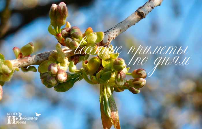 народные приметы какая будет весна