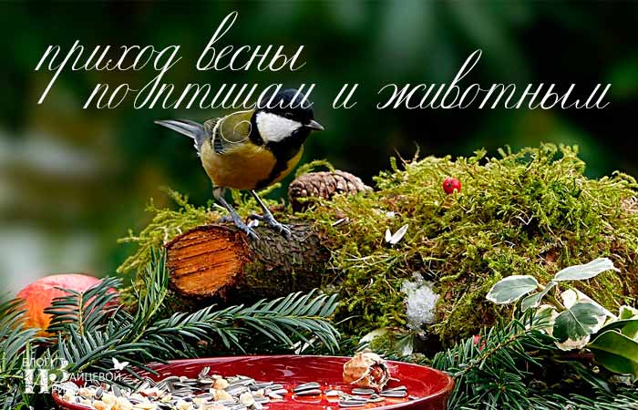 приметы ранней весны