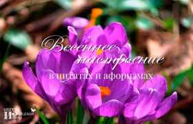 Весеннее настроение в цитатах и афоризмах