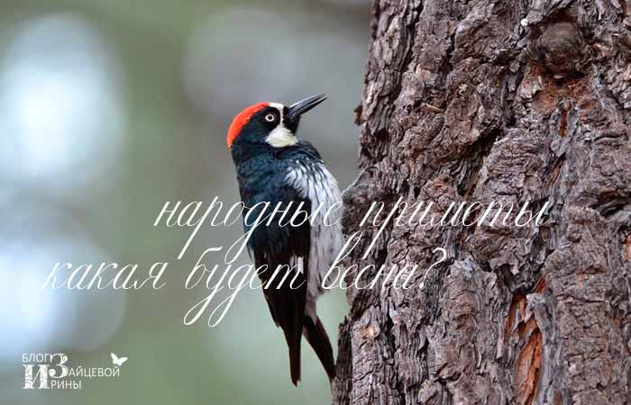 народные приметы про весну