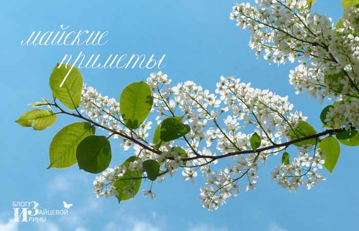 приметы про весну