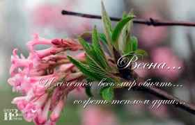 Весна. И хочется весь мир обнять. согреть теплом души. 