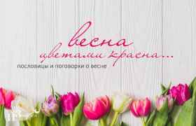 Весна цветами красна… Пословицы и поговорки о весне