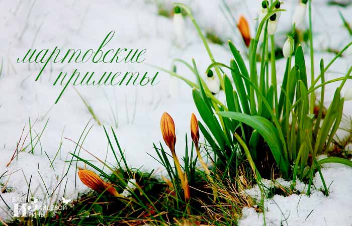 народные приметы о весне