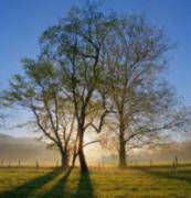 Приметы по заре