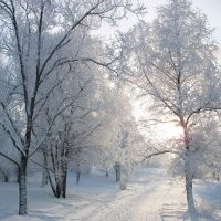 приметы зимы