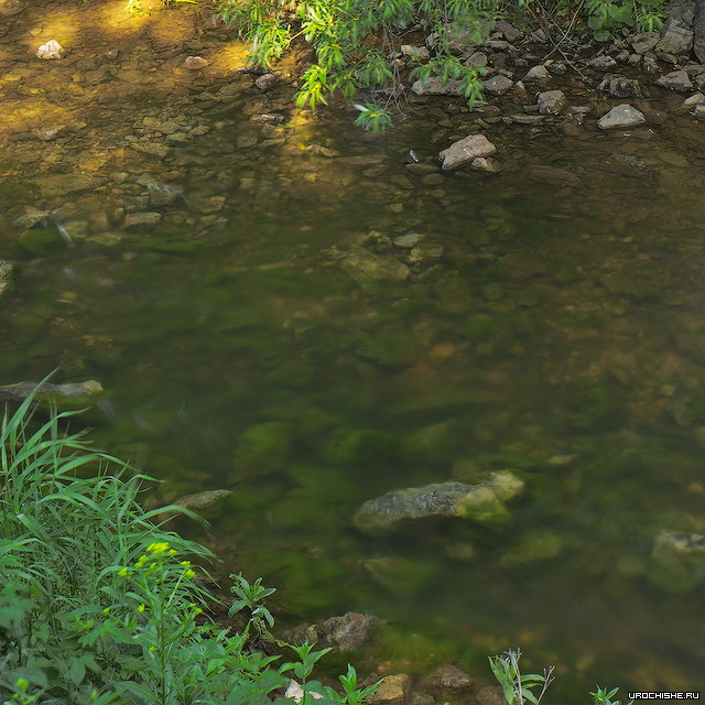 Прогноз клева хариуса в пермь