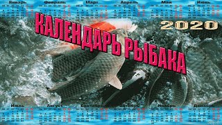 Клев рыбы прогноз на неделю в ейске