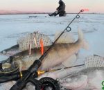 Прогноз клева рыбы в украине