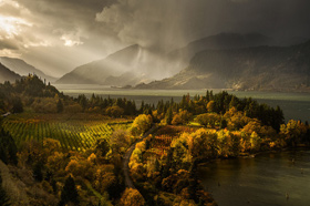 Прогноз клева рыбы в украине