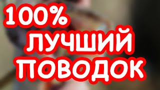 Поводок для твичинга из струны