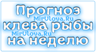 Прогноз клева рыбы в украине