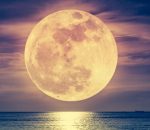 Прогноз клева рыбы в украине