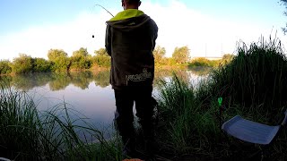 Рыбалка в июне ловля леща осенью