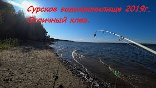Ловля сазана на сурском водохранилище