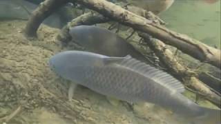 Рыбалка на черной оренбургской области