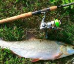 Прогноз клева рыбы в украине