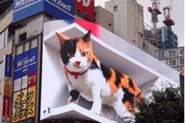 Гигантский 3D-кот поселился на здании в Японии
