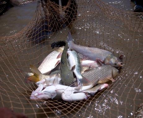 Рыбалка в Астрахани в начале мая