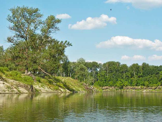 рыбалка в балашове