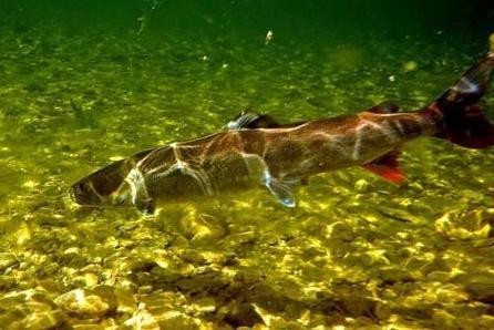 Рыбалка на Байкале