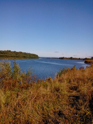 Рыбалка в Чувашии и Марий Эл | ВКонтакте