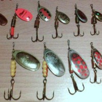 Primanka na okunya kakaya luchshe