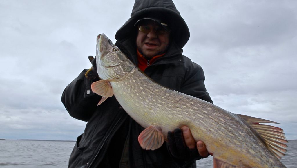 рыбалка в сорокошичах