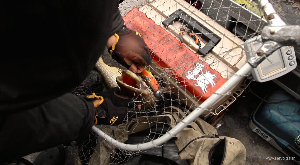 рыбалка в сорокошичах