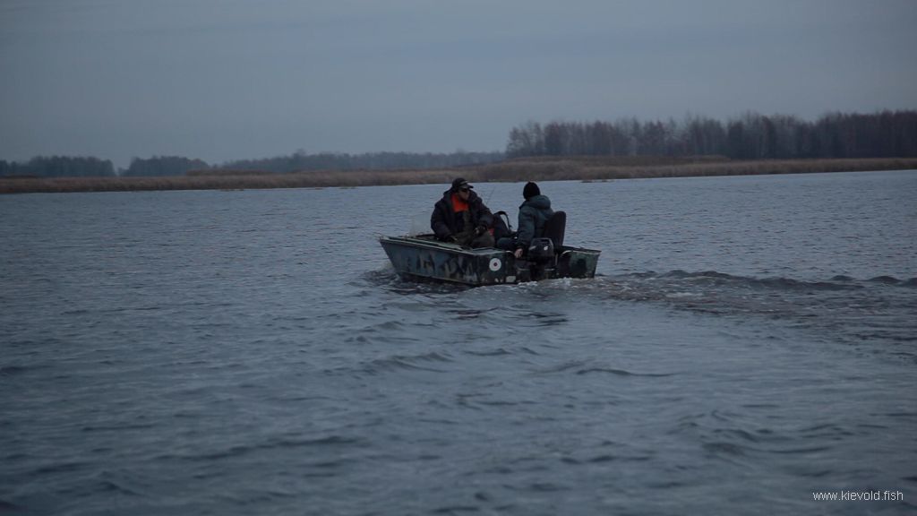 сорокошичи