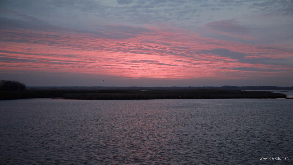 сорокошичи